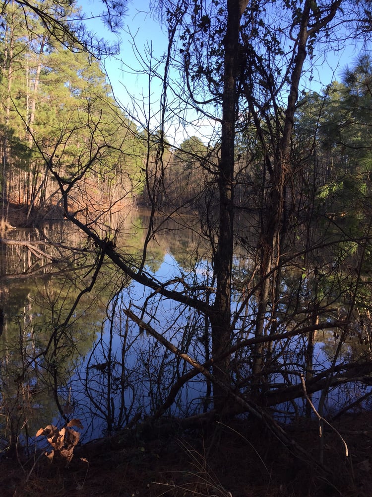 BLANCHARD WOODS PARK Updated September 2024 4600 Blanchard Woods Dr