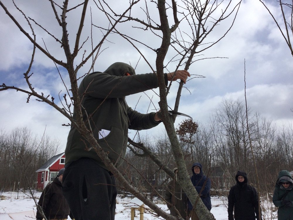 BENDING OAK PERMACULTURE FARM 25 Photos 100 Cottage Grove Dr