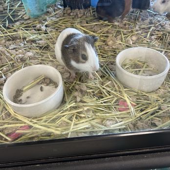 Petco - Pet Stores Near Me - Anaheim, California