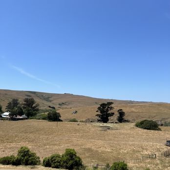 Harmony Cellars - Wineries Near Me - Harmony, California Harmony Cellars - Wineries Near Me - Harmony, California