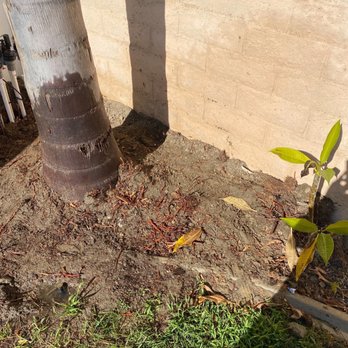 Pro Irrigation - Irrigation Near Me