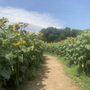 Photo of Buttonwood Farm