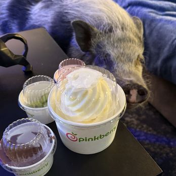 Pinkberry - Ice Cream & Frozen Yogurt Near Me - Tucson, Arizona