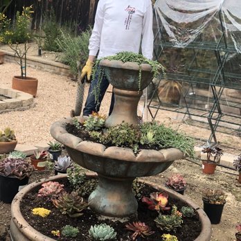 Planter Paradise - Thank you, Robert Vadeboncoeur, for great service. The fountain is perfect & so are the succulents. Scott & Pippa Scripps Ranch - Nurseries & Gardening Near Me - El Cajon, California Planter Paradise - Thank you, Robert Vadeboncoeur, for great service. The fountain is perfect & so are the succulents. Scott & Pippa Scripps Ranch - Nurseries & Gardening Near Me - El Cajon, California