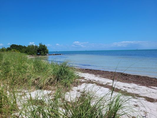 Curry Hammock State Park by null