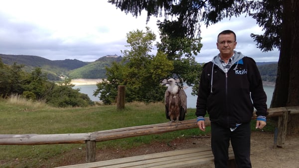 Wildpark Edersee by null