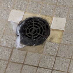 New Rochelle YMCA - Shower facilities