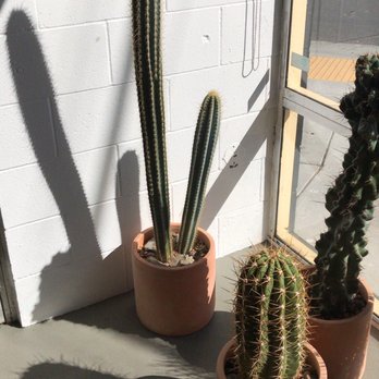 Public Land Store - Nurseries & Gardening Near Me - Sacramento, California Public Land Store - Nurseries & Gardening Near Me - Sacramento, California