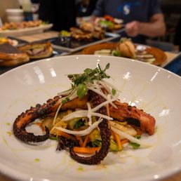 Octopus