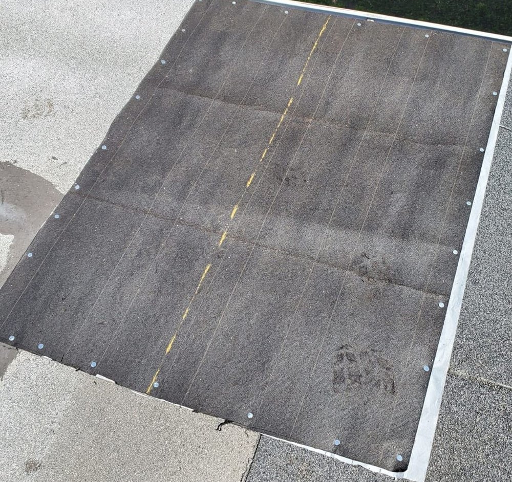 Slide of Fundora’s Brother’s