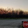 Photo of Old Baldy Mountain