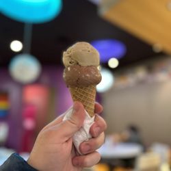 Mallard Ice Cream