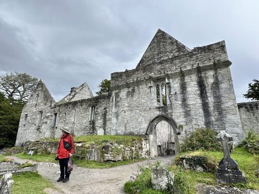 Killarney National Park by null