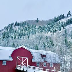 La Famille Migneron - Nearby Red Barn