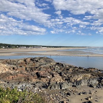 Marginal Way Preservation Fund - Ogunquit beach - Community Service/Non-Profit Near Me - Ogunquit, Maine