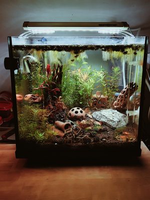 Preuss Pets by null