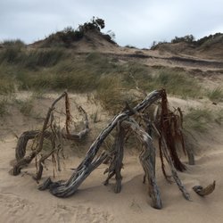 Cape Woolamai Beach - Sandbank Art