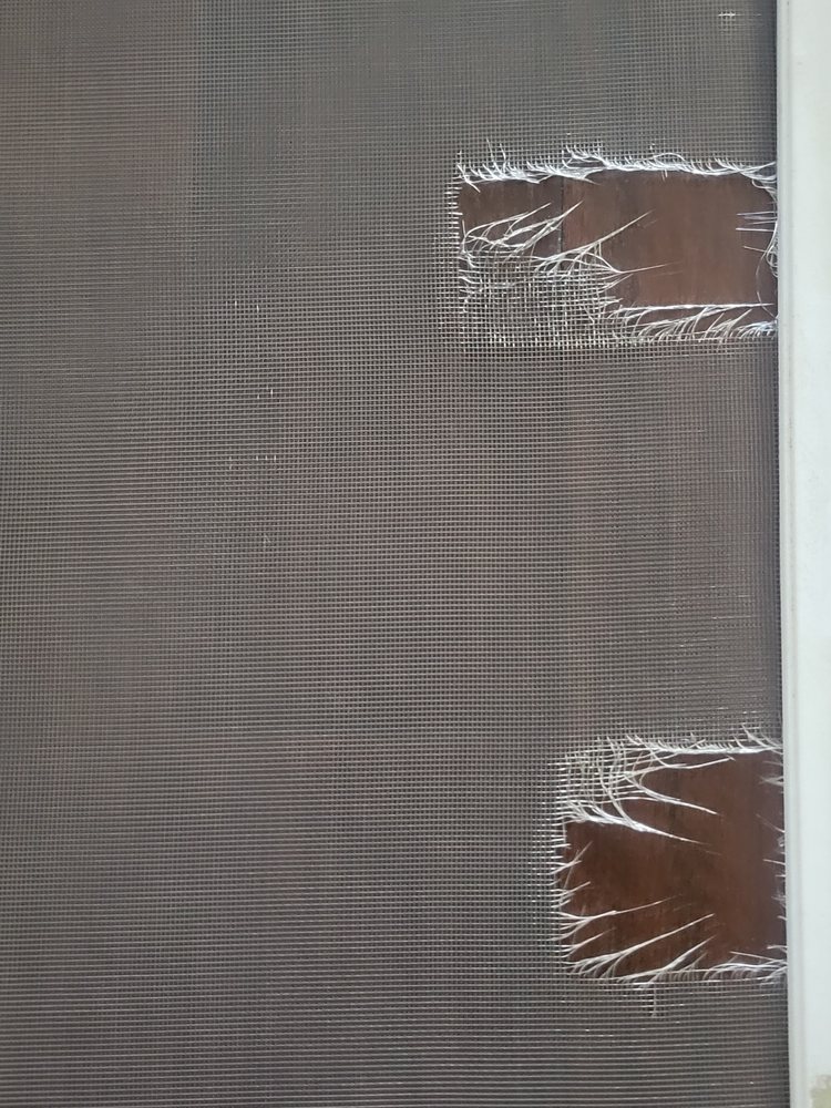 WINDOW SCREEN REPAIR Updated August 2024 Charlotte, North Carolina