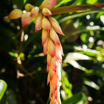 Hike Maui - Tours Near Me - Kahului, Hawaii