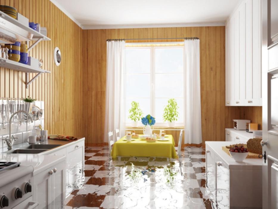 Restoration First Services - mold inspector in Orlando, FL