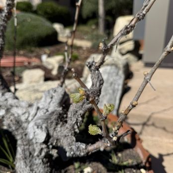 Tablas Creek Vineyard - Grape - Wineries Near Me - Paso Robles, California