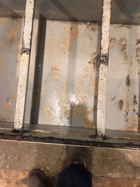 Slide of Asap Grease Trappers