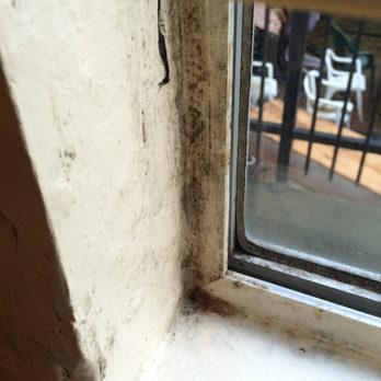 Raj Properties - Leaky window at 2442 Piedmont Ave, fostered mold growth. - Apartments Near Me - Berkeley, California
