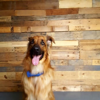 Smart Janitorial - Pet Friendly Office. - Office Cleaning Near Me - Aneheim Hills, California Smart Janitorial - Pet Friendly Office. - Office Cleaning Near Me - Aneheim Hills, California