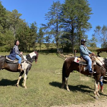 Blue Ridge Mountain Trail Rides - Mike and Ike. - Horseback Riding Near Me - Blue Ridge, Georgia Blue Ridge Mountain Trail Rides - Mike and Ike. - Horseback Riding Near Me - Blue Ridge, Georgia