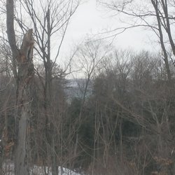 Maple Bay Farm and Preserve - Bay.