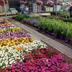 Vivero Aznaljarafe - Flores de temporada