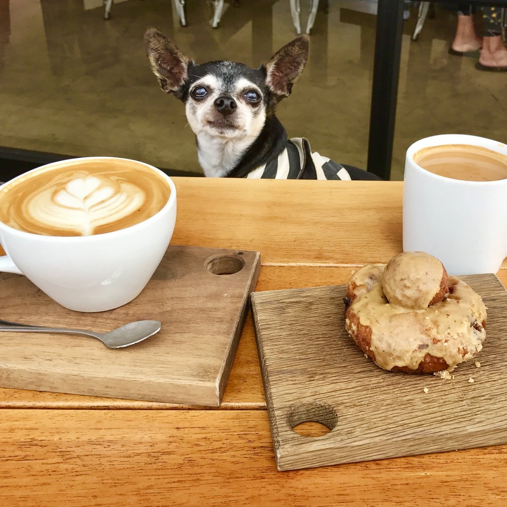 Revolution Roasters - My girl loves her caffeine ;) - Coffee & Tea Near Me - Oceanside, California Revolution Roasters - My girl loves her caffeine ;) - Coffee & Tea Near Me - Oceanside, California