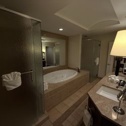 Hyatt Vacation Club At Coconut Cove - Condo bathroom