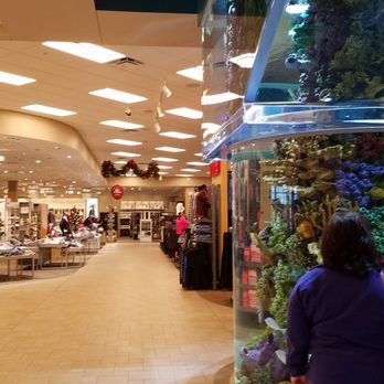 Scheels - Hunting & Fishing Supplies Near Me - Johnstown, Colorado