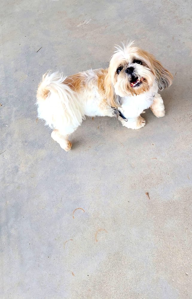 Annie & Dave's Pet Sitting - pet boarding facility in Caldwell, ID