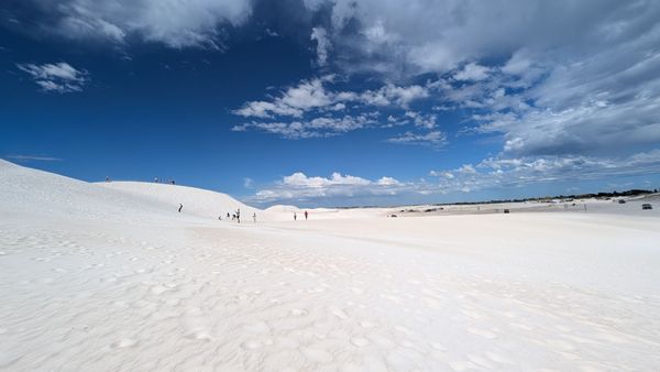 Lancelin Sand Dunes by null