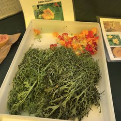 Pine Island Botanicals