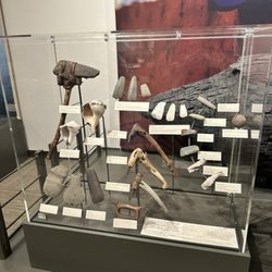 Silver River Museum & Environmental Education Ctr