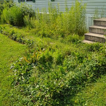 Valley Lawncare - Lawn Services Near Me Valley Lawncare - Lawn Services Near Me