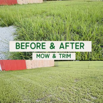 Sudduth Group - Before & After of a customer's lawn service - Lawn Services Near Me - Brooksville, Florida Sudduth Group - Before & After of a customer's lawn service - Lawn Services Near Me - Brooksville, Florida