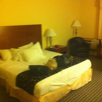 Best Western Plus Brunswick Bath - Nice room - Hotels Near Me - Brunswick, Maine Best Western Plus Brunswick Bath - Nice room - Hotels Near Me - Brunswick, Maine