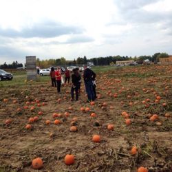 West Wind Fruit Farm