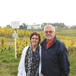 Vineyard Vineyard