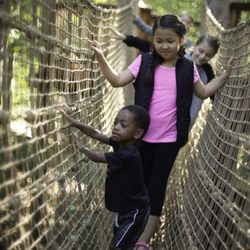 Adventure Outpost rope bridge