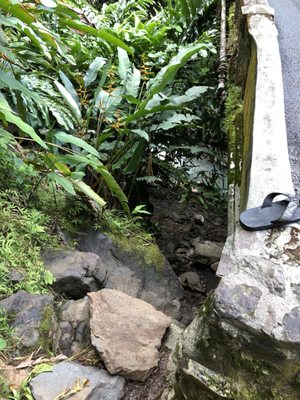 Upper Waikani Falls by null