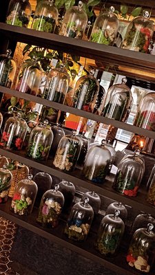 The Botanist Social by null