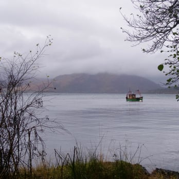 Scottish Sealife Centre - Kids Activities Near Me - Oban, AGB