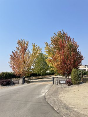 Koenig Vineyards by null