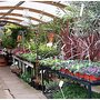 Photo of Adrian Hall Garden Centre