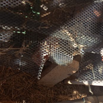 Top Service Plumbing - metal mesh not secured - Plumbing Near Me - Temecula, California